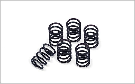 Clutch Spring Kit / 