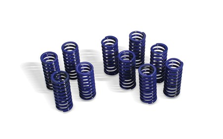 Clutch Spring Kit / 