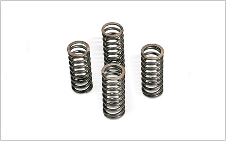 Clutch Spring Kit / 