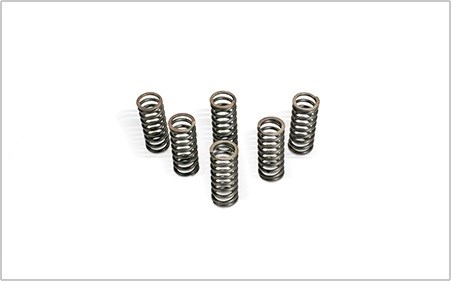Clutch Spring Kit / 