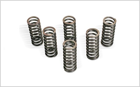 Clutch Spring Kit / 