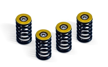 Ducati Clutch Spring Kit- Gold / 