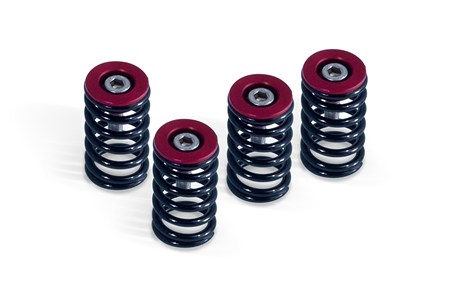 Ducati Clutch Spring Kit- Red / 