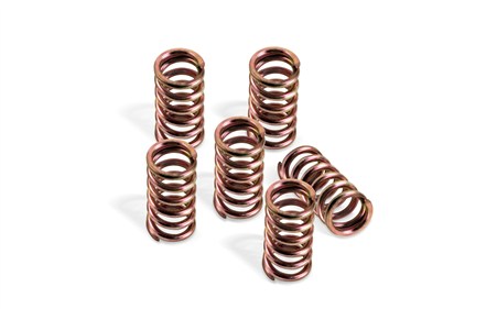 Clutch Spring Kit