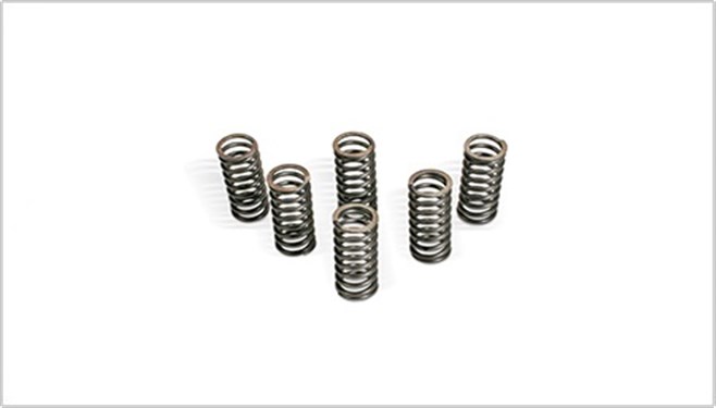 Clutch Spring Kit
