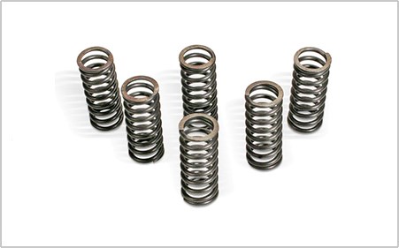 Clutch Spring Kit